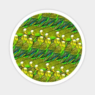 Budgie Wave Funny Pattern Magnet